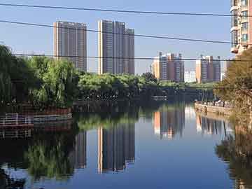 燕麦最新行情价格及市场走势与影响因素解析