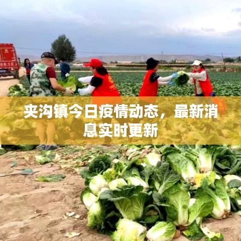 夹沟镇今日疫情动态，最新消息实时更新