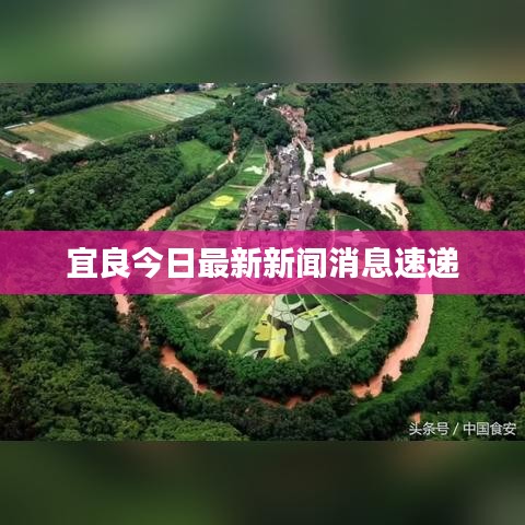 第1256页
