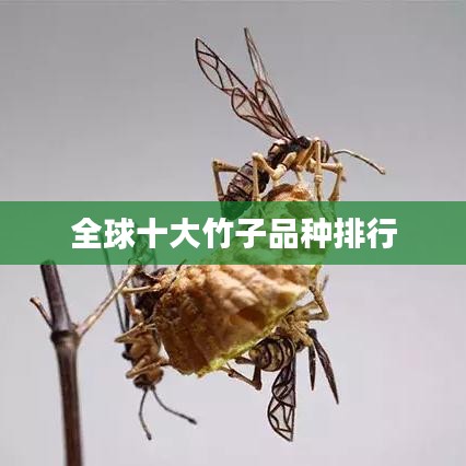 第1251页