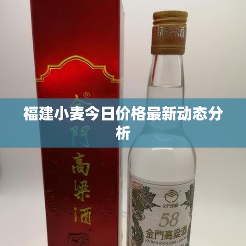 福建小麦今日价格最新动态分析