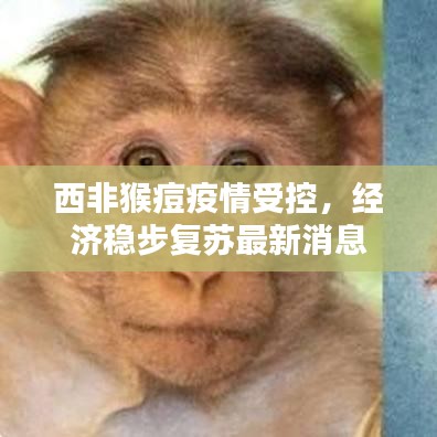 夯雀儿先飞 第2页