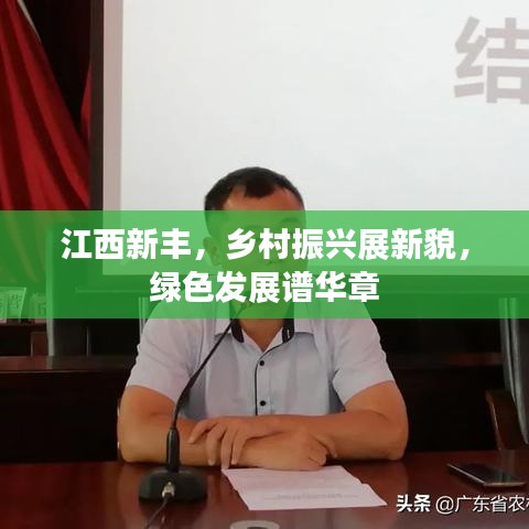 江西新丰，乡村振兴展新貌，绿色发展谱华章