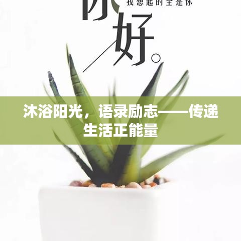 沐浴阳光，语录励志——传递生活正能量