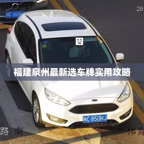 福建泉州最新选车牌实用攻略
