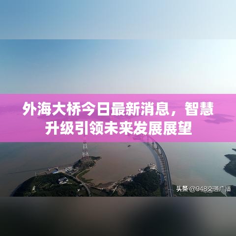 甄繁就简 第3页