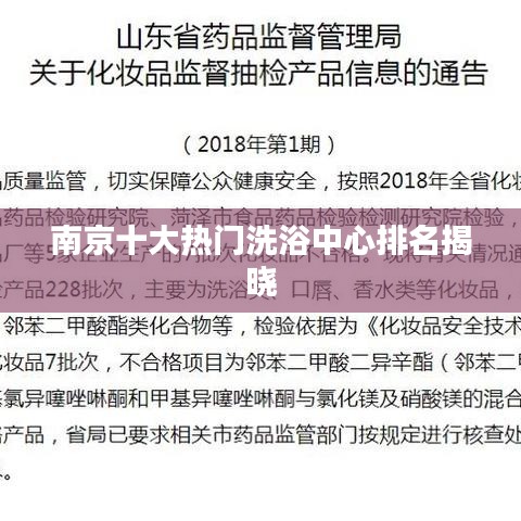 雍容华贵 第3页