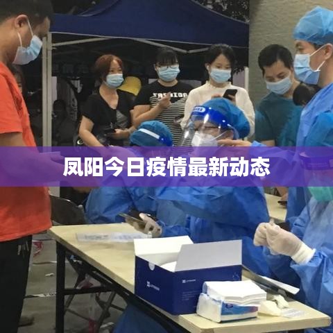 凤阳今日疫情最新动态