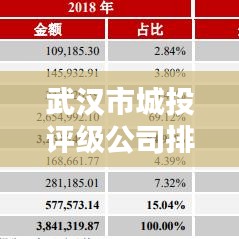 武汉市城投评级公司排名全解析