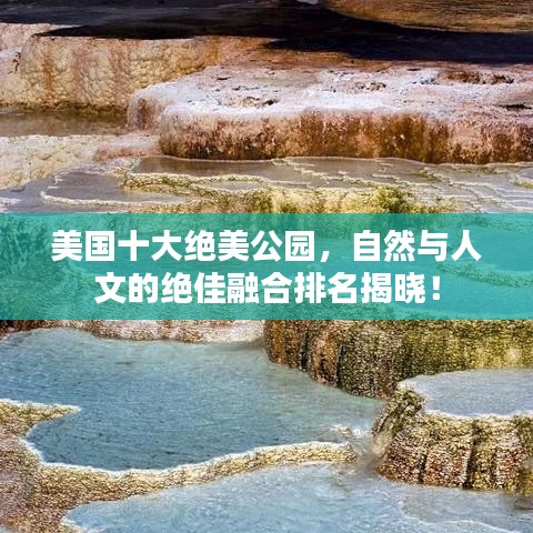 贵险贱璧 第3页