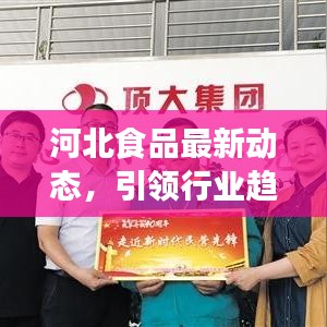 河北食品最新动态，引领行业趋势，聚焦前沿资讯