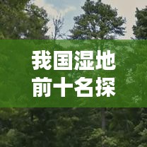 我国湿地前十名探秘，自然之美的宝藏大揭秘