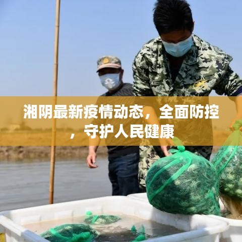 湘阴最新疫情动态，全面防控，守护人民健康