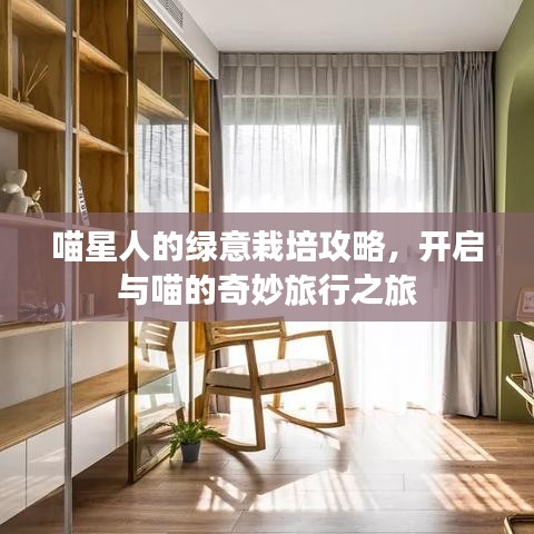 喵星人的绿意栽培攻略，开启与喵的奇妙旅行之旅
