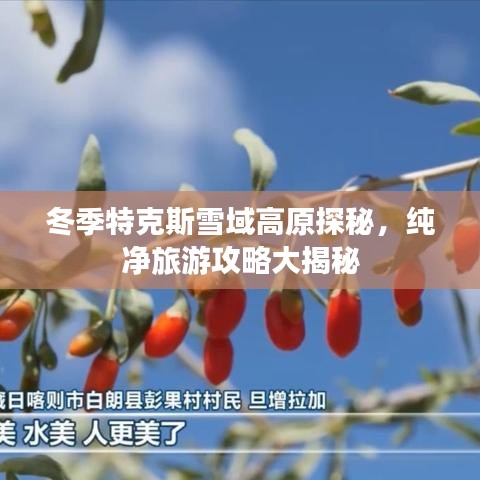 风流儒雅 第2页