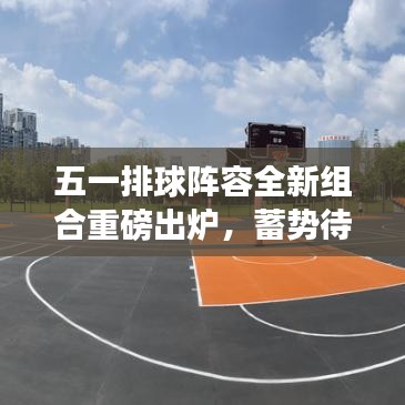 五一排球阵容全新组合重磅出炉，蓄势待发，期待惊艳表现！