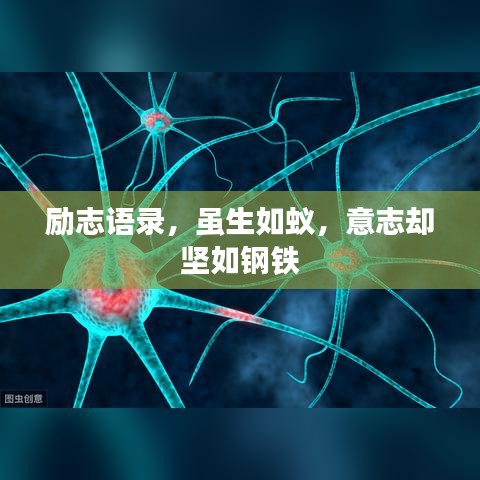 励志语录，虽生如蚁，意志却坚如钢铁