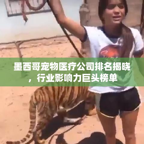 墨西哥宠物医疗公司排名揭晓，行业影响力巨头榜单