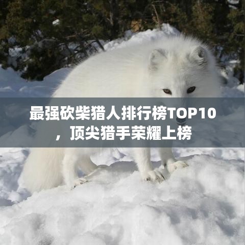 功成名就 第3页