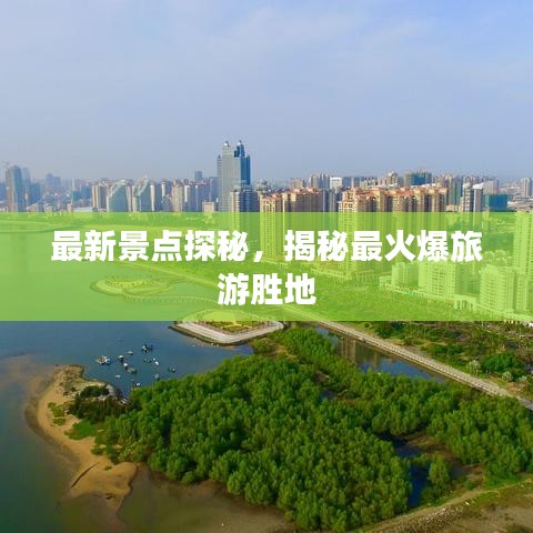 林下风范 第2页