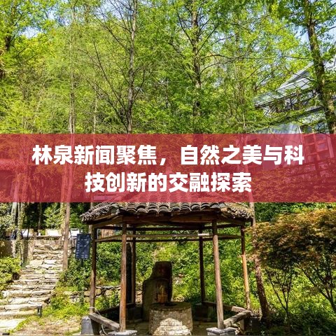 独学寡闻 第2页