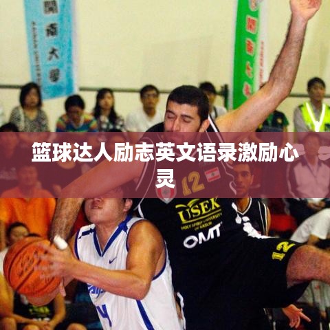 篮球达人励志英文语录激励心灵