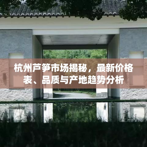 杭州芦笋市场揭秘，最新价格表、品质与产地趋势分析