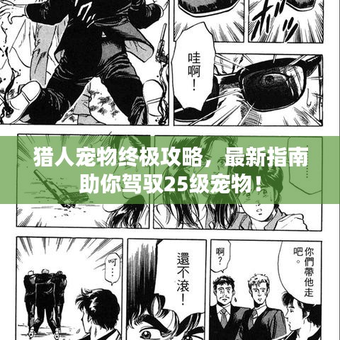 观往知来 第3页