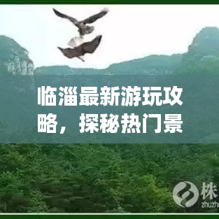 临淄最新游玩攻略，探秘热门景点，畅游全新路线！