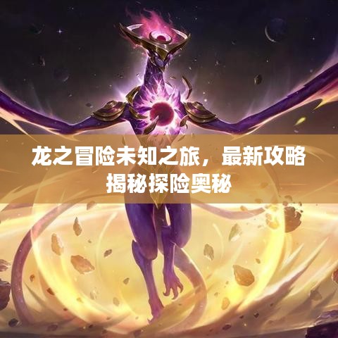 龙之冒险未知之旅，最新攻略揭秘探险奥秘