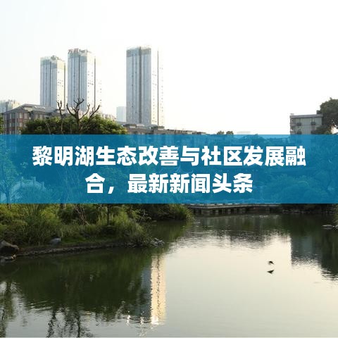 黎明湖生态改善与社区发展融合，最新新闻头条