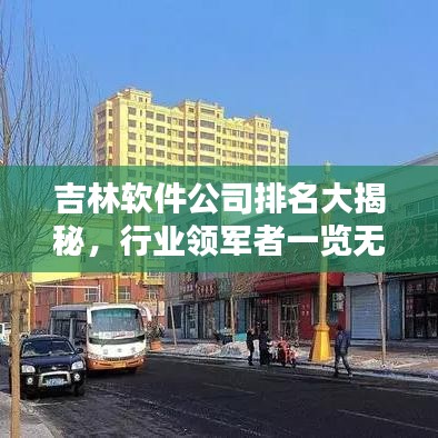 吉林软件公司排名大揭秘，行业领军者一览无余！
