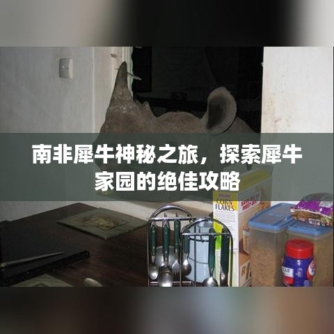 南非犀牛神秘之旅，探索犀牛家园的绝佳攻略