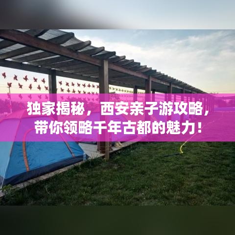 鸡飞狗跳 第2页