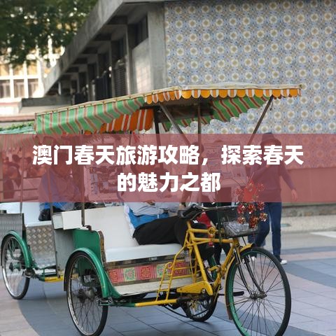 夫贵妻荣 第2页