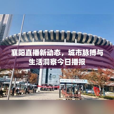 襄阳直播新动态，城市脉搏与生活洞察今日播报