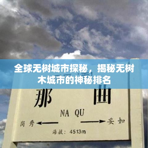 全球无树城市探秘，揭秘无树木城市的神秘排名