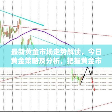 最新黄金市场走势解读，今日黄金策略及分析，把握黄金市场机会
