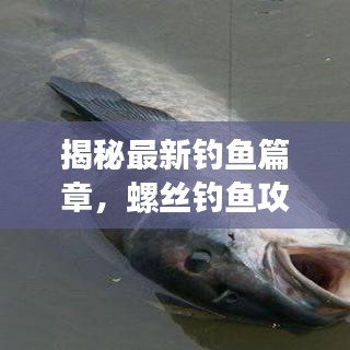 揭秘最新钓鱼篇章，螺丝钓鱼攻略大全，让你轻松钓上大鱼！