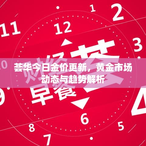 荟华今日金价更新，黄金市场动态与趋势解析