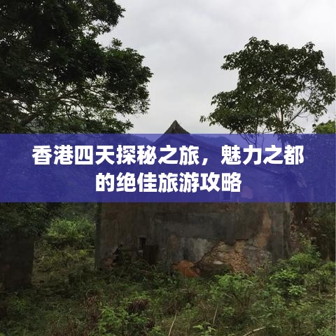 香港四天探秘之旅，魅力之都的绝佳旅游攻略