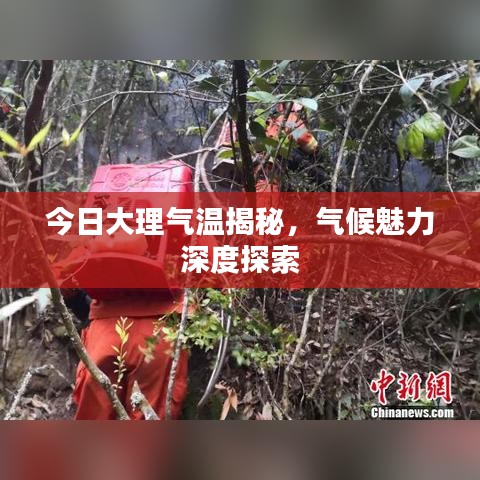 只争朝夕 第2页