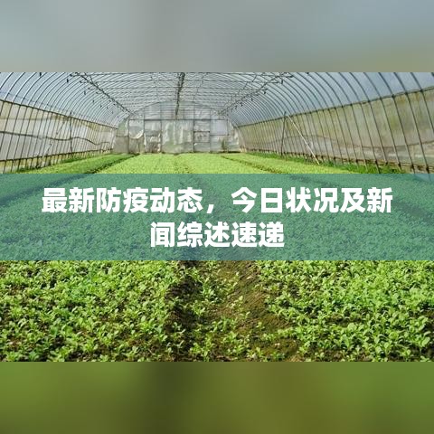 最新防疫动态，今日状况及新闻综述速递