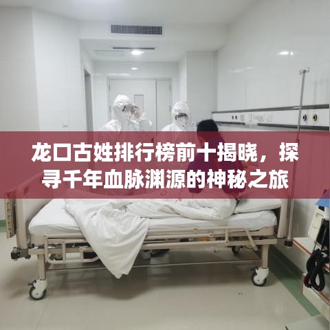 龙口古姓排行榜前十揭晓，探寻千年血脉渊源的神秘之旅