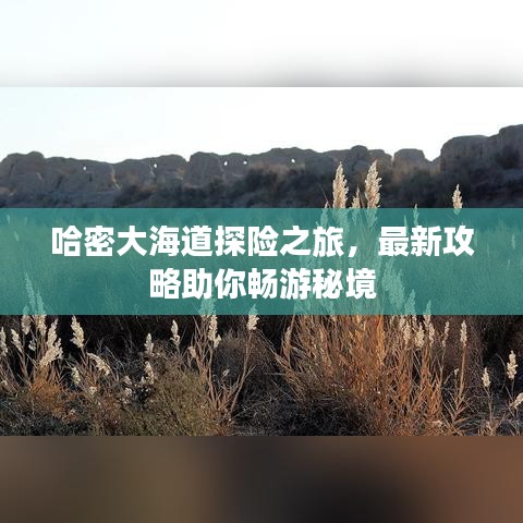 哈密大海道探险之旅，最新攻略助你畅游秘境
