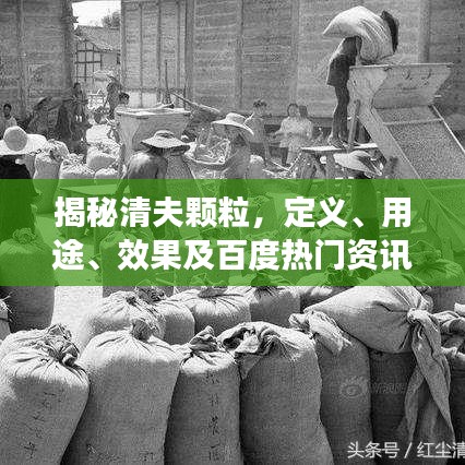 德才兼备 第2页