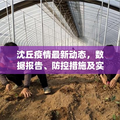 橘虞初梦 第2页