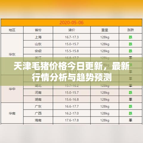 天津毛猪价格今日更新，最新行情分析与趋势预测