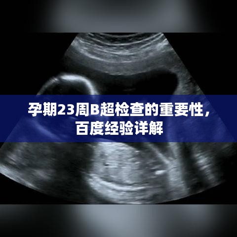 不求甚解 第2页