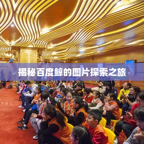 张弛不定 第2页